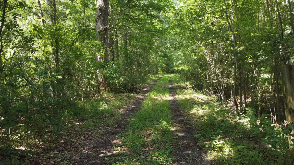 Ridgeville, SC 29472,0 Rudd Rd