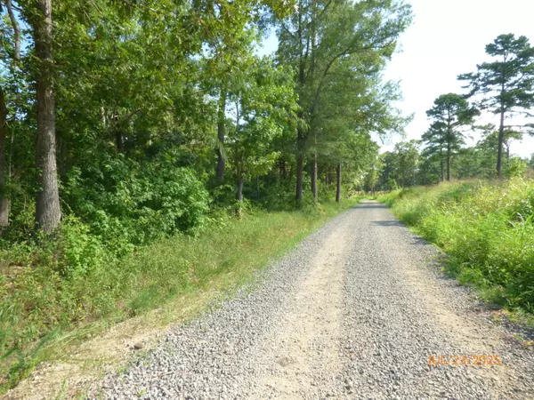 Pineville, SC 29468,0 Big Woods Rd
