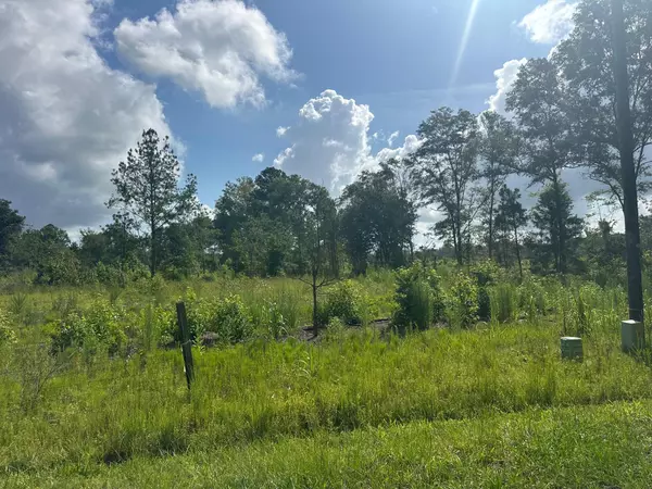 Saint George, SC 29477,01 Utsey Hill Rd