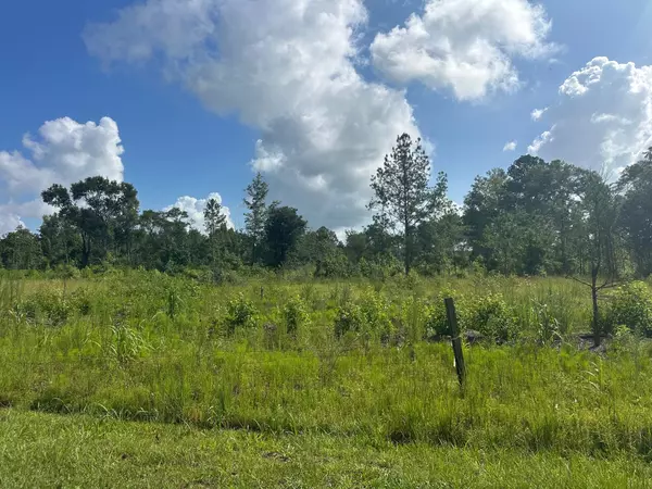Saint George, SC 29477,01 Utsey Hill Rd