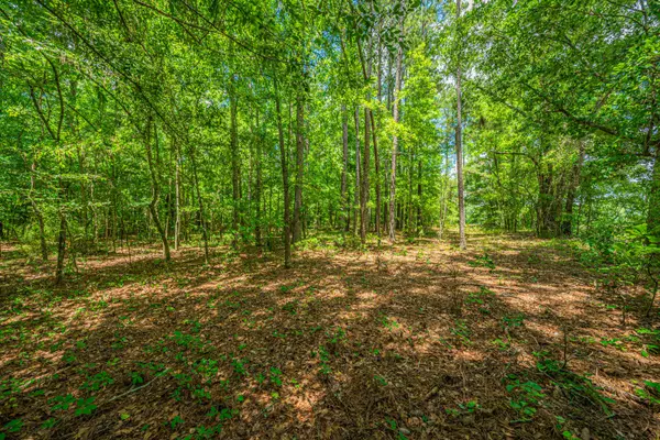 Branchville, SC 29432,1 Mcalhany Rd