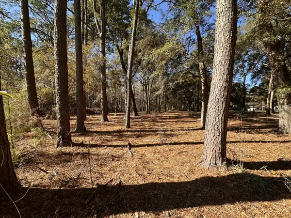 Johns Island, SC 29455,0 Cane Slash Rd