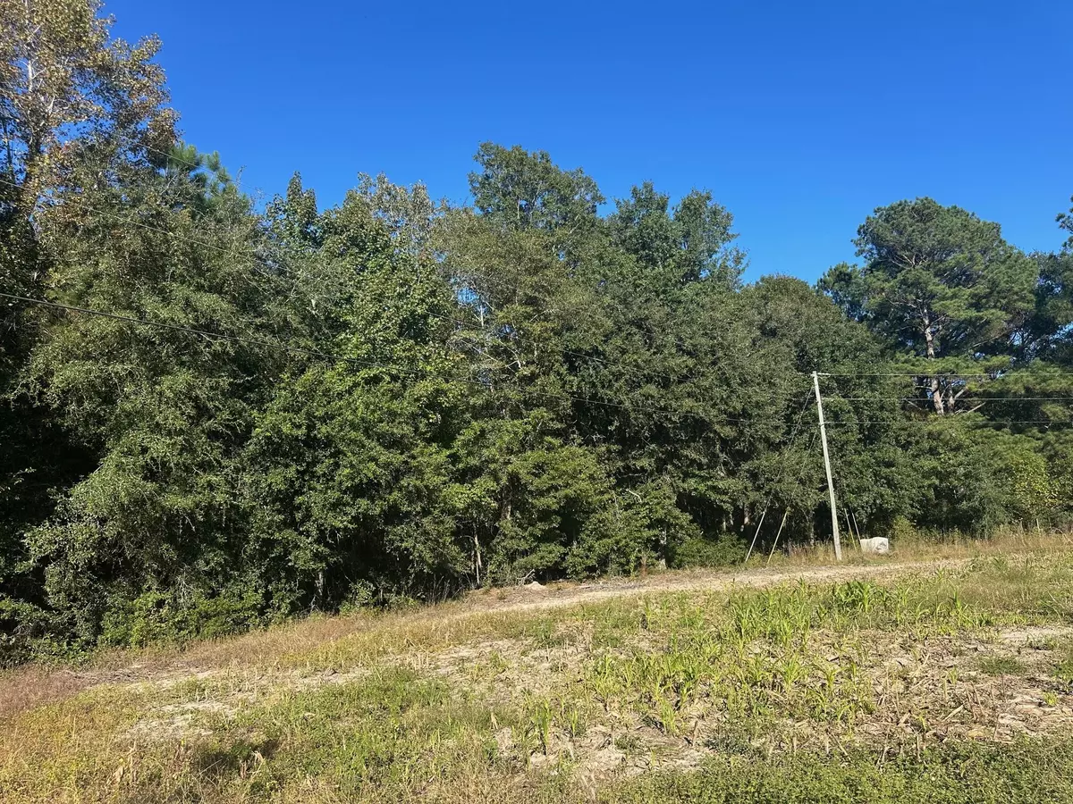 Saint Stephen, SC 29479,0 Mitchell Hill Ln