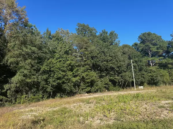 0 Mitchell Hill Ln, Saint Stephen, SC 29479