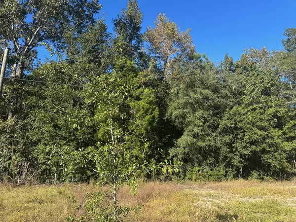 Saint Stephen, SC 29479,0 Mitchell Hill Ln