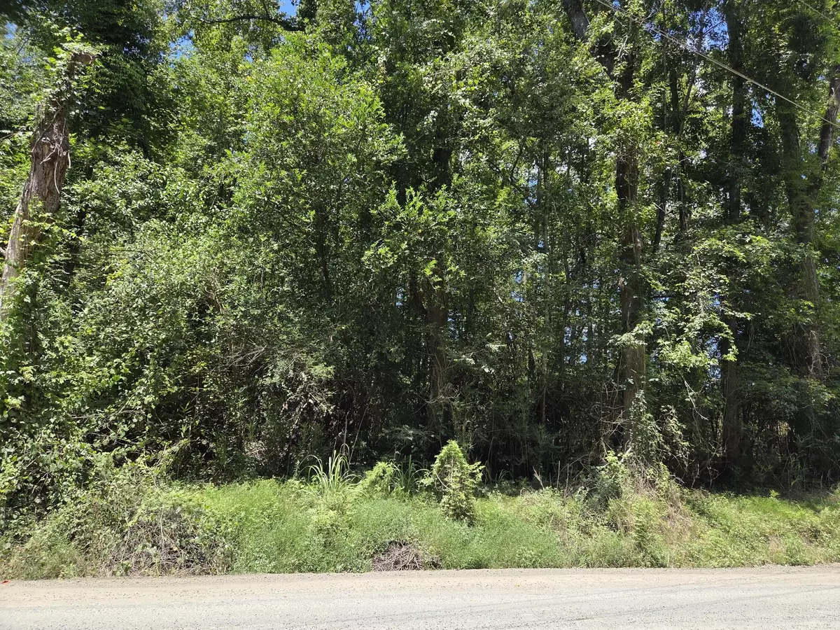 Ridgeville, SC 29472,Lot 6 Hill Branch Rd