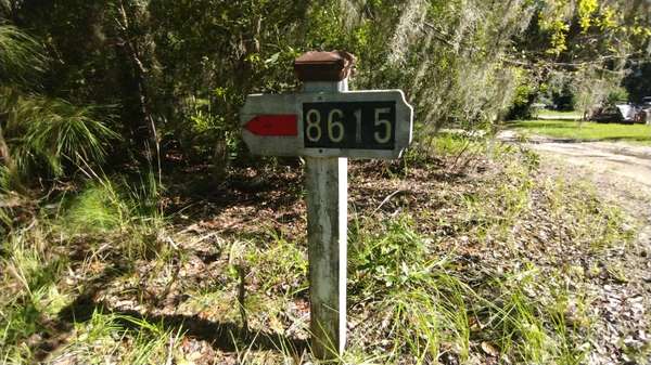Edisto Island, SC 29438,8615 Raccoon Island Rd