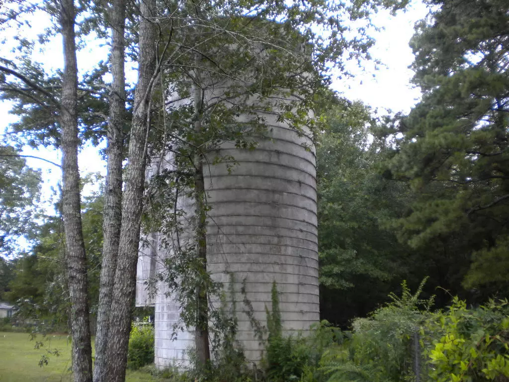 Ridgeville, SC 29472,340 Ridge Rd