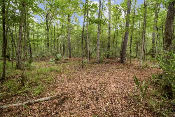 Awendaw, SC 29429,4848 Woodville Rd