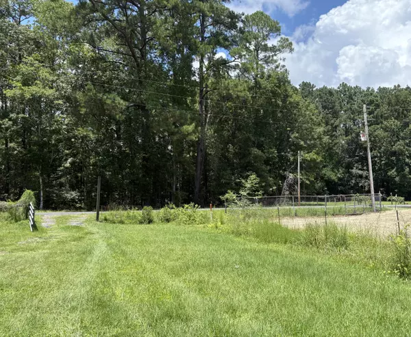 Walterboro, SC 29488,3345 Prices Bridge Ln