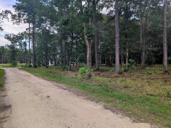 Mcclellanville, SC 29458,2006 Becca Ln