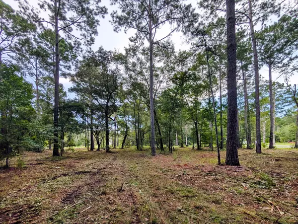 Mcclellanville, SC 29458,2006 Becca Ln