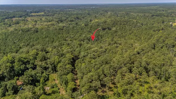 Hollywood, SC 29449,7799 Morris Bing Rd