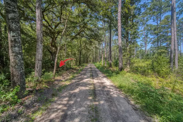 Hollywood, SC 29449,7799 Morris Bing Rd