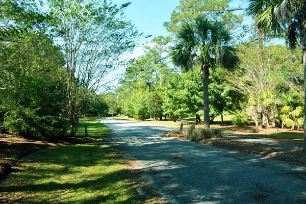 Edisto Island, SC 29438,61 Osprey Rd