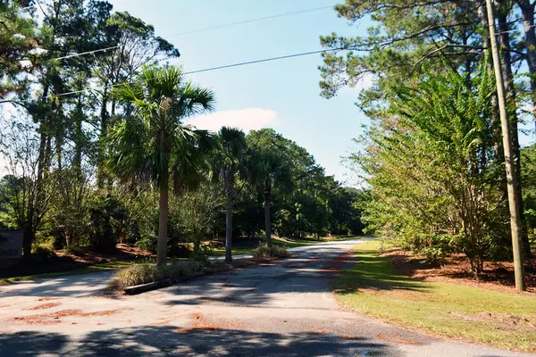 Edisto Island, SC 29438,61 Osprey Rd