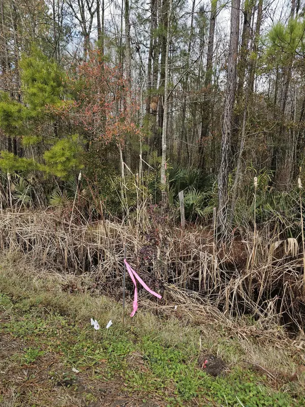 Walterboro, SC 29488,0 Clover Hill Rd