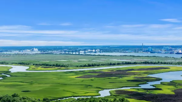 Wando, SC 29492,481 Jessen Ln