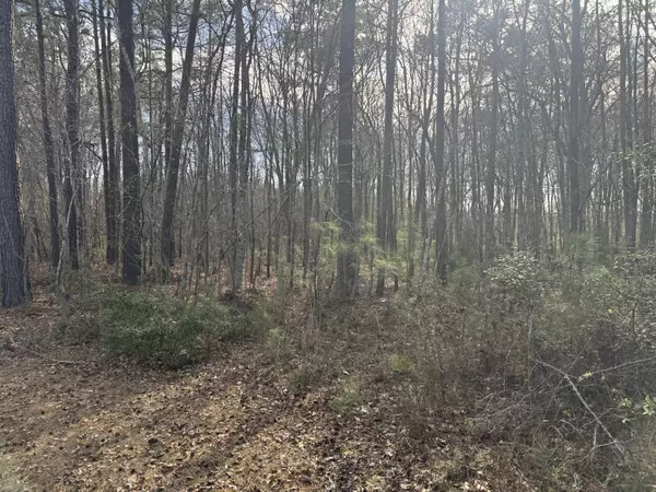 Moncks Corner, SC 29461,0 Branton Ln