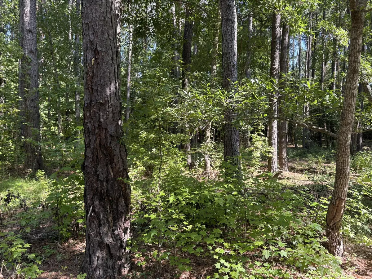 Lone Star, SC 29030,312 Weeks Landing Road