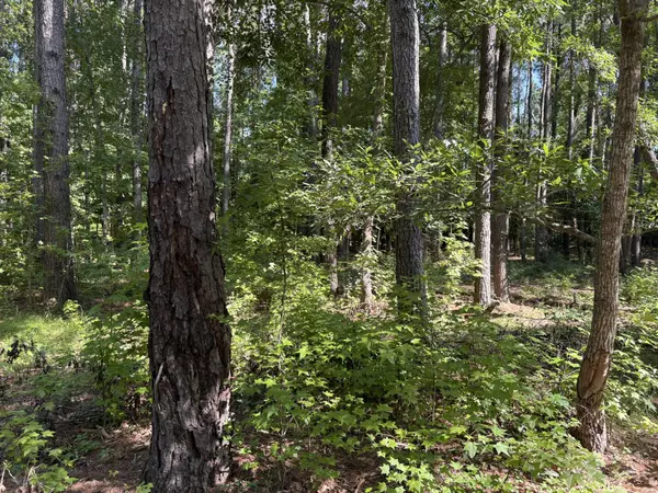 312 Weeks Landing Road, Lone Star, SC 29030