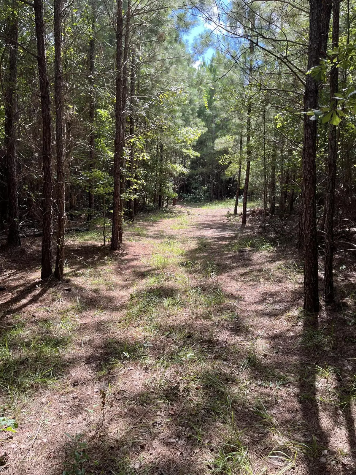 Orangeburg, SC 29115,00 Cherry Hill Road