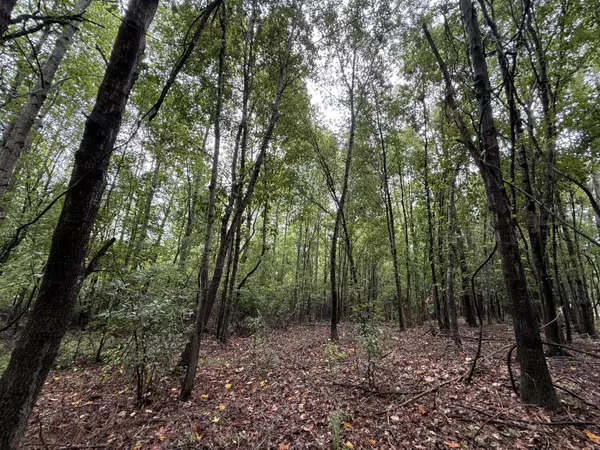 Williston, SC 29853,0000 State Rd S-6-169