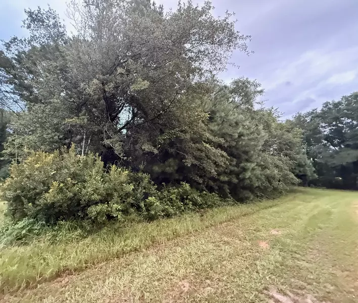 0 Staley Field Ln, Saint Matthews, SC 29135
