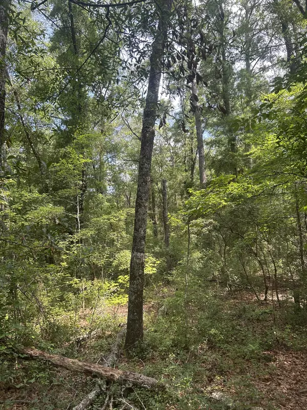 Ridgeville, SC 29472,0 Boat Landing Rd