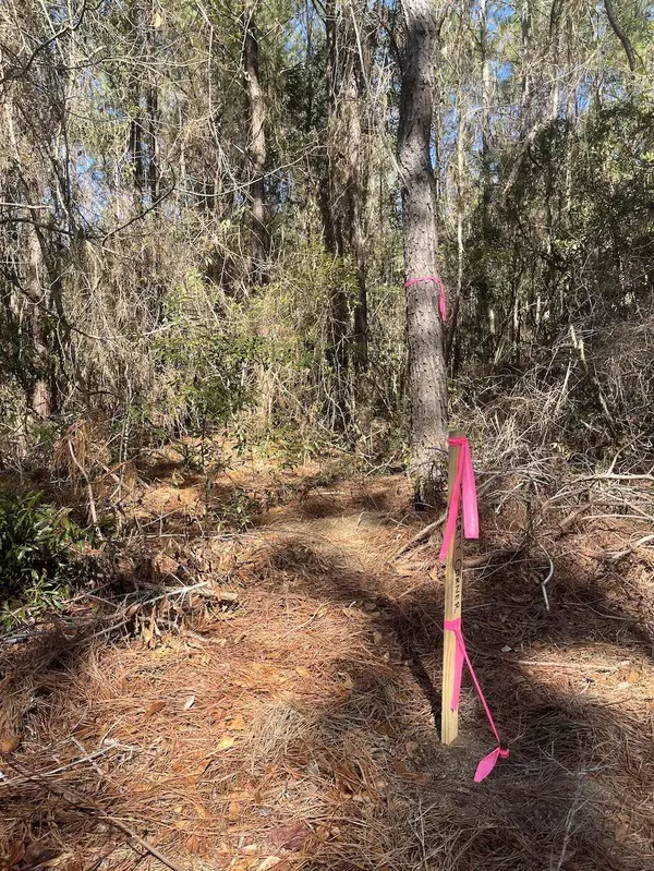 Cottageville, SC 29435,00 Praxis Ct