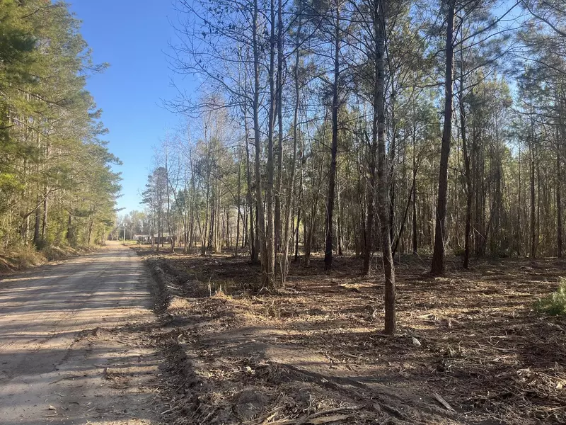 00 Praxis Ct, Cottageville, SC 29435