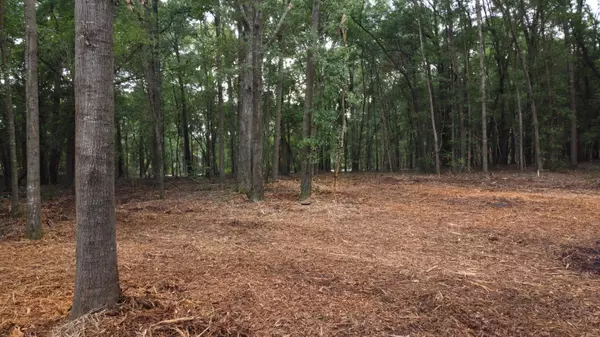 Summerton, SC 29148,7 Francis Marion Blvd