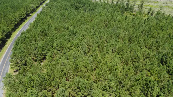 Gable, SC 29051,0 Salem Rd