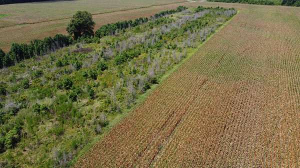 0 Salem Rd, Gable, SC 29051