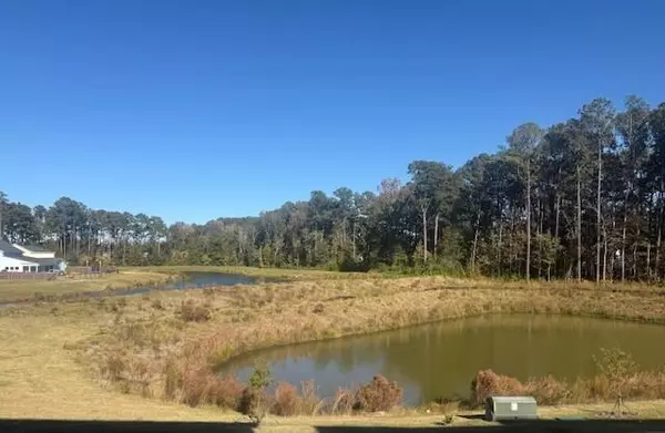Summerville, SC 29486,424 Great Egret