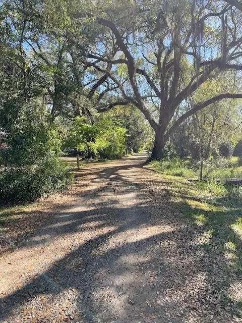 Mcclellanville, SC 29458,310 Drayton St