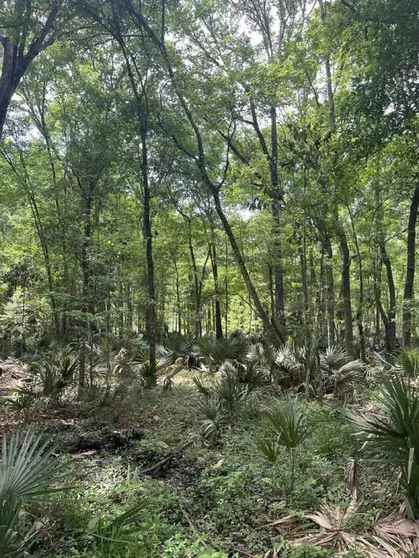 Johns Island, SC 29455,2 Sol Farm Rd