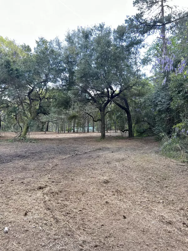 Eutawville, SC 29048,111 Roberta Dr