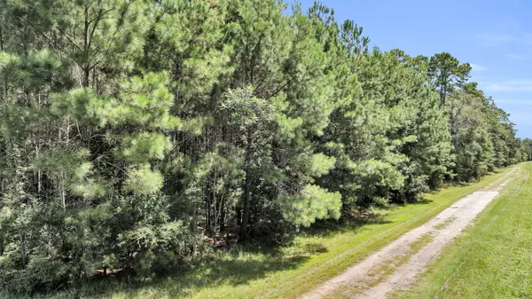 Johns Island, SC 29455,0 Shadow Pond Road