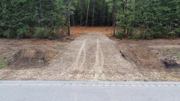 Summerton, SC 29148,1 Francis Marion Blvd