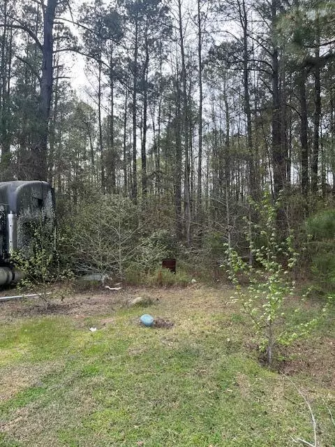 Reevesville, SC 29471,0 Palm St