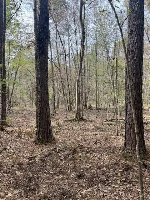 Reevesville, SC 29471,0 Palm St