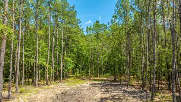 Adams Run, SC 29426,6774 Spring Grove Rd