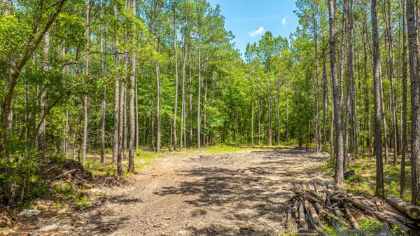 Adams Run, SC 29426,6774 Spring Grove Rd