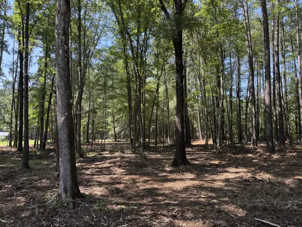 Ridgeville, SC 29472,0 Fish Road #5