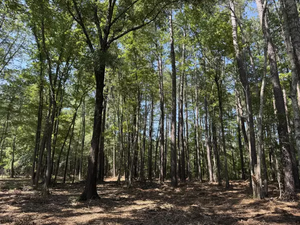 Ridgeville, SC 29472,0 Fish Road #5
