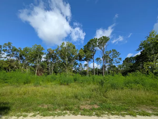 Mcclellanville, SC 29458,318 McClellan Ave