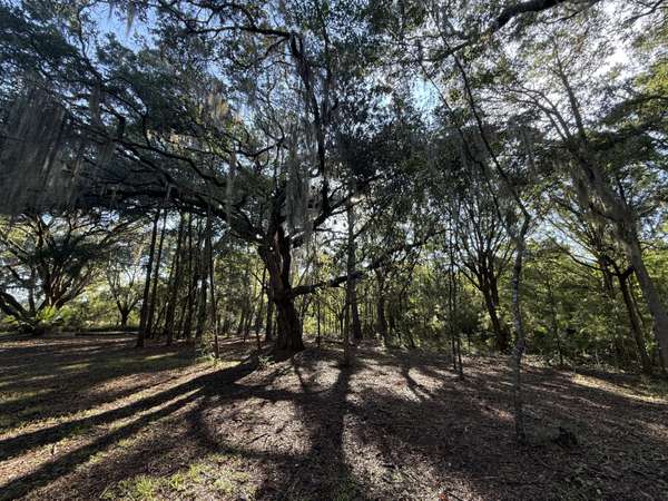 Edisto Island, SC 29438,7939 Legare Rd