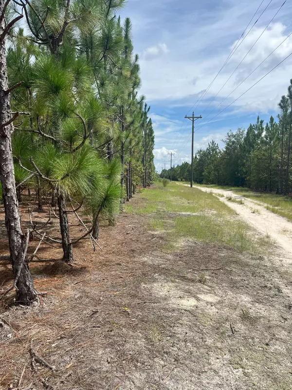 Westville, SC 29175,Ppf 6 Payne Pond Rd #Ppf 6