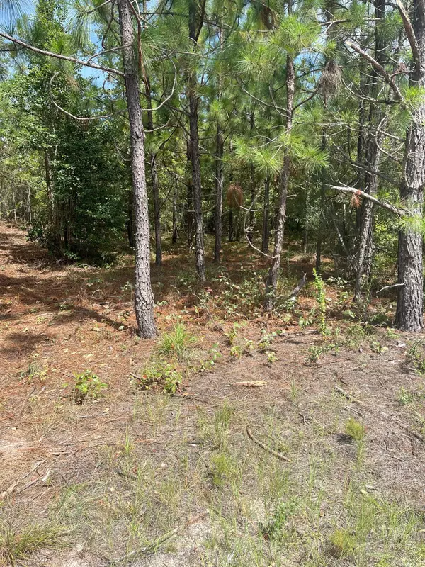 Ppf 7 Payne Pond Rd #Ppf 7, Westville, SC 29175